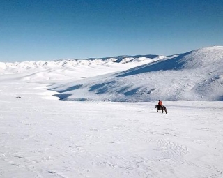  Grandes espacios nevados a caballo 